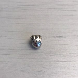 Pandora strawberry charm